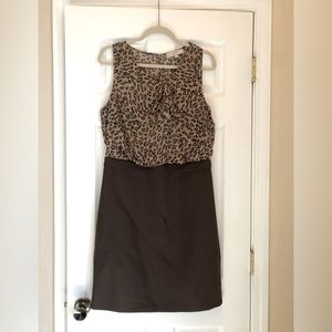 Loft dress size 10